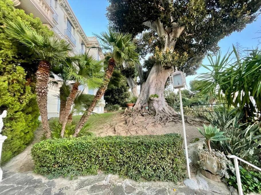 Suite Cavalieri Di Rodi 6 - Ospedaletti Exterior photo
